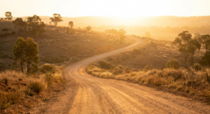 pathway to wealth