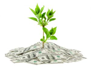 cash flow