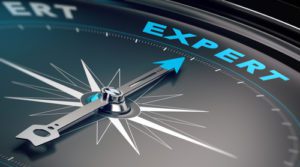 expert