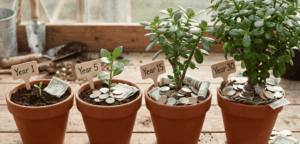 How compound interest grows money over time